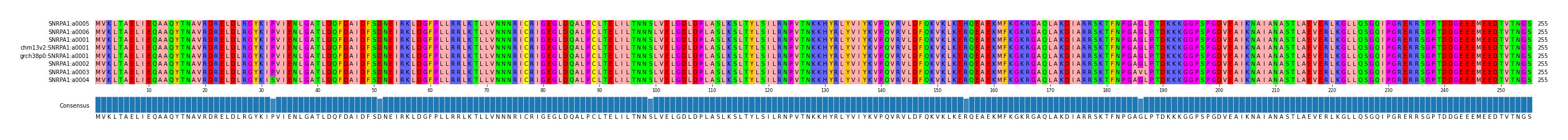 Multiple Alignments (by translate haplotype similarity)