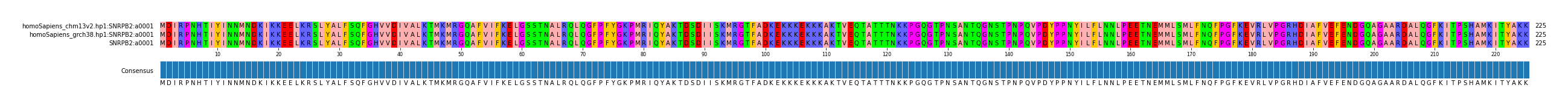 Multiple Alignments (by translate haplotype similarity)