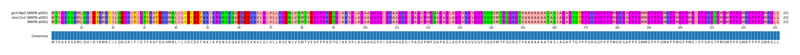 Multiple Alignments (by translate haplotype frequency)