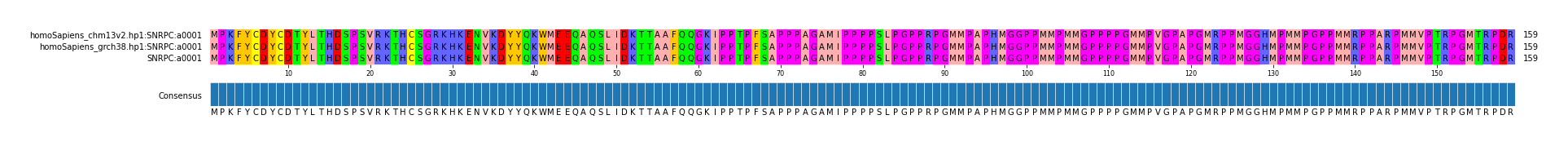 Multiple Alignments (by translate haplotype similarity)