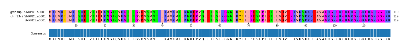 Multiple Alignments (by translate haplotype similarity)