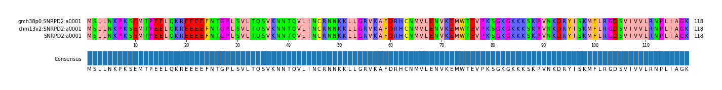 Multiple Alignments (by translate haplotype similarity)