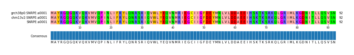 Multiple Alignments (by translate haplotype frequency)