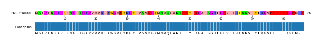 Multiple Alignments (by translate haplotype similarity)