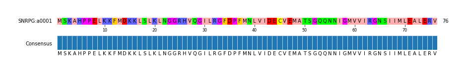 Multiple Alignments (by translate haplotype similarity)