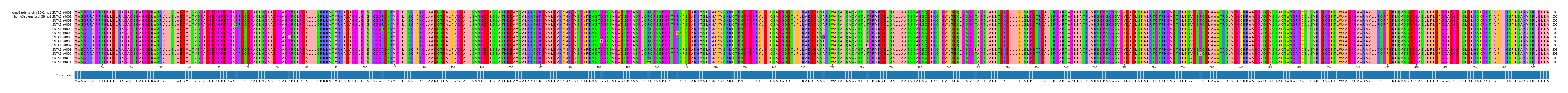 Multiple Alignments (by translate haplotype frequency)