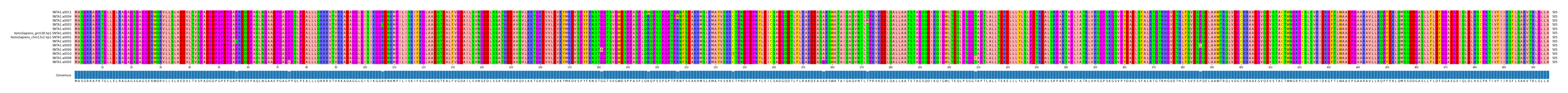 Multiple Alignments (by translate haplotype similarity)