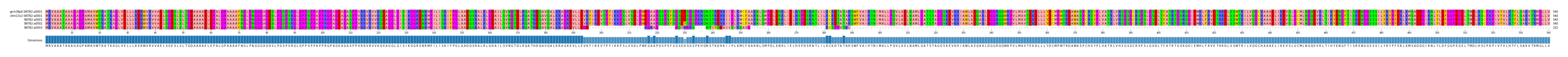 Multiple Alignments (by translate haplotype frequency)