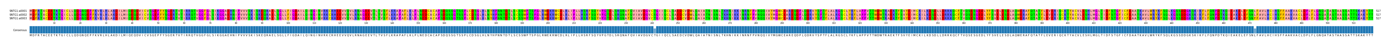 Multiple Alignments (by translate haplotype frequency)