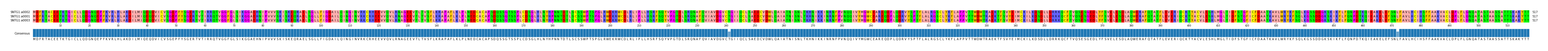 Multiple Alignments (by translate haplotype similarity)