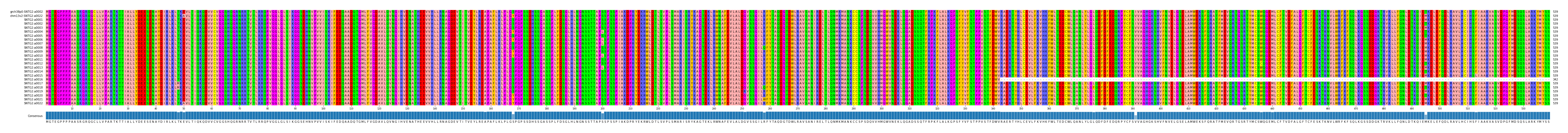 Multiple Alignments (by translate haplotype frequency)
