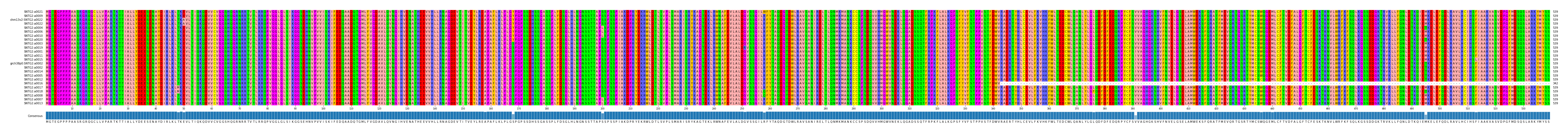 Multiple Alignments (by translate haplotype similarity)