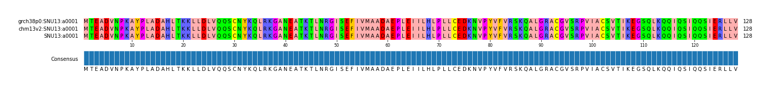 Multiple Alignments (by translate haplotype similarity)