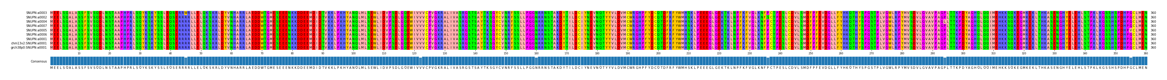 Multiple Alignments (by translate haplotype similarity)