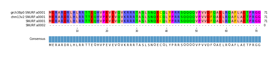 Multiple Alignments (by translate haplotype similarity)