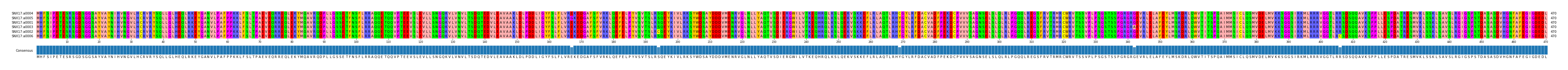 Multiple Alignments (by translate haplotype similarity)