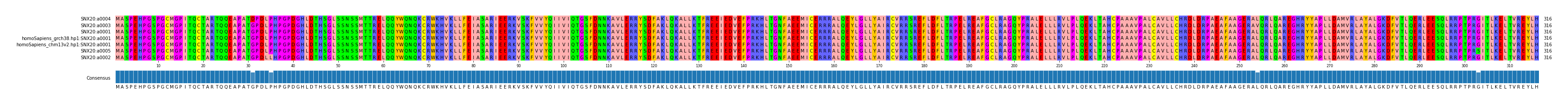 Multiple Alignments (by translate haplotype similarity)