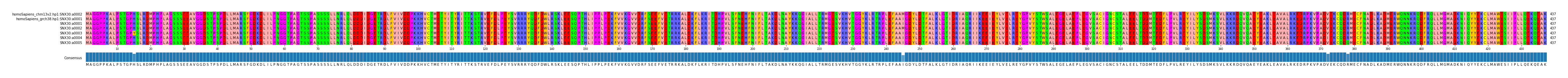 Multiple Alignments (by translate haplotype frequency)