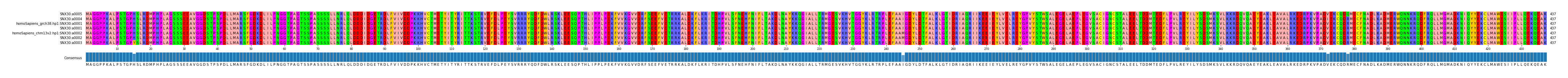 Multiple Alignments (by translate haplotype similarity)