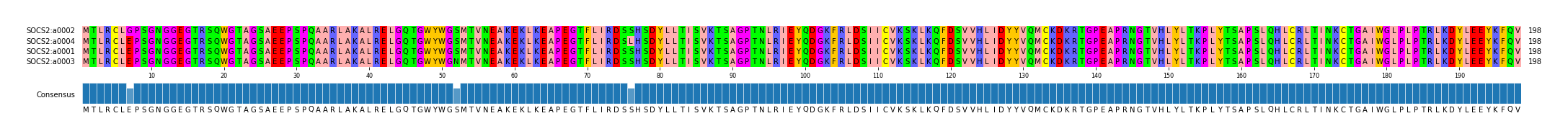 Multiple Alignments (by translate haplotype similarity)