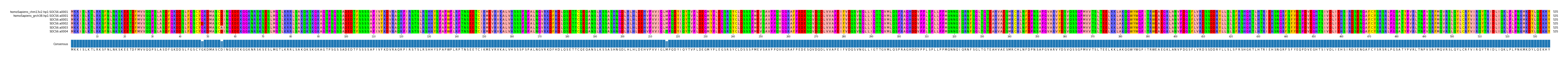Multiple Alignments (by translate haplotype frequency)
