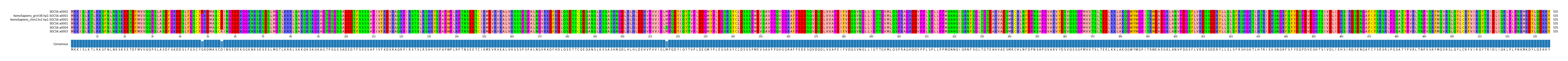Multiple Alignments (by translate haplotype similarity)