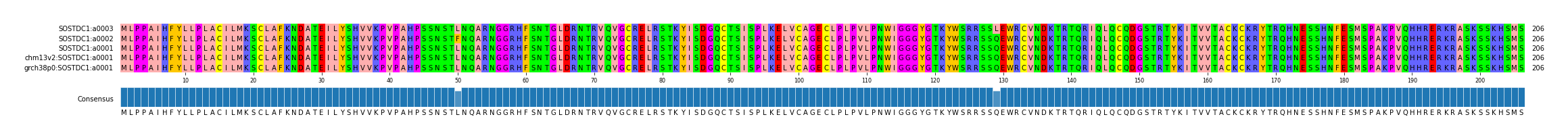 Multiple Alignments (by translate haplotype similarity)