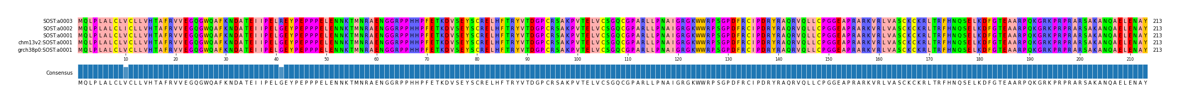 Multiple Alignments (by translate haplotype similarity)