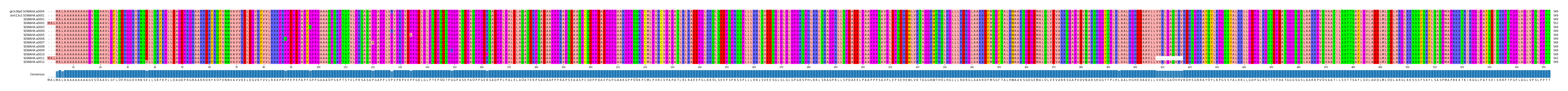 Multiple Alignments (by translate haplotype frequency)