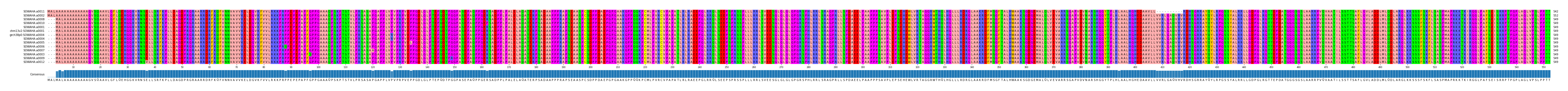 Multiple Alignments (by translate haplotype similarity)