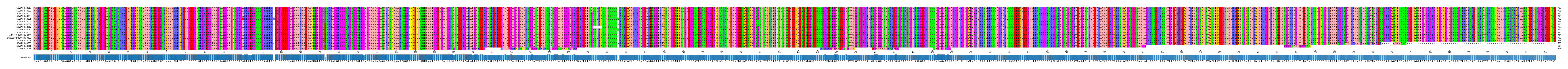 Multiple Alignments (by translate haplotype similarity)