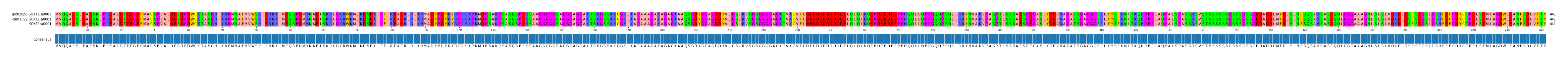 Multiple Alignments (by translate haplotype similarity)