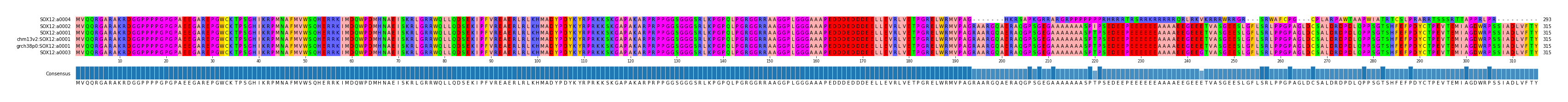 Multiple Alignments (by translate haplotype similarity)