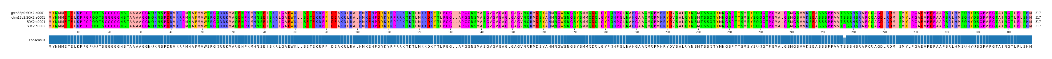 Multiple Alignments (by translate haplotype similarity)