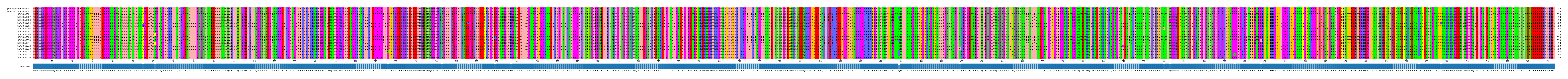 Multiple Alignments (by translate haplotype frequency)