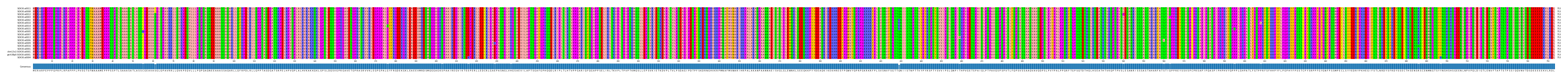 Multiple Alignments (by translate haplotype similarity)