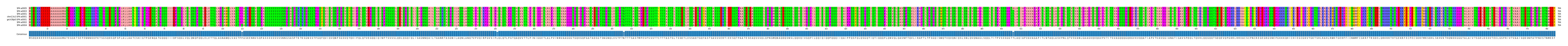 Multiple Alignments (by translate haplotype similarity)