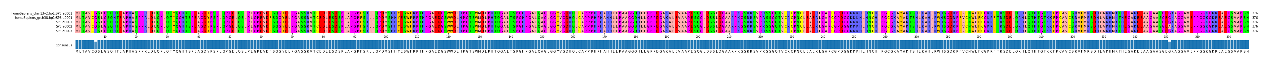 Multiple Alignments (by translate haplotype frequency)