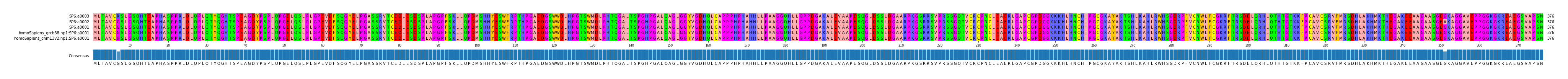 Multiple Alignments (by translate haplotype similarity)