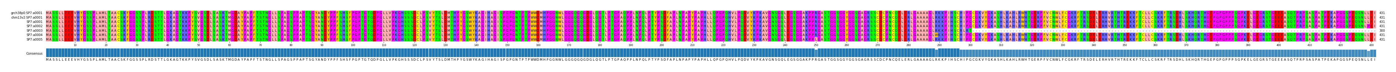 Multiple Alignments (by translate haplotype frequency)