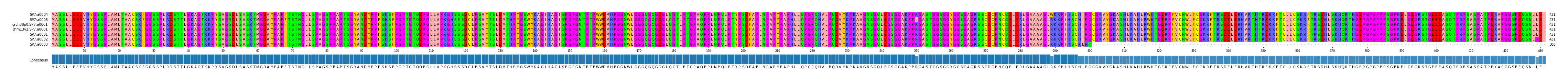 Multiple Alignments (by translate haplotype similarity)