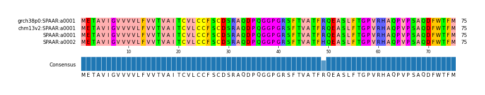Multiple Alignments (by translate haplotype similarity)