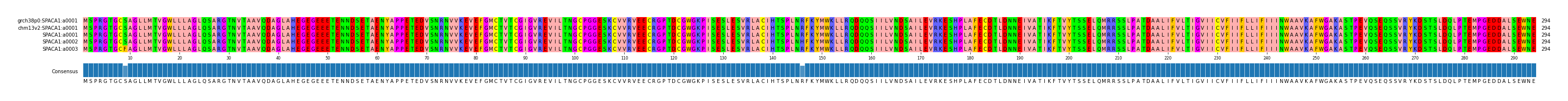 Multiple Alignments (by translate haplotype frequency)