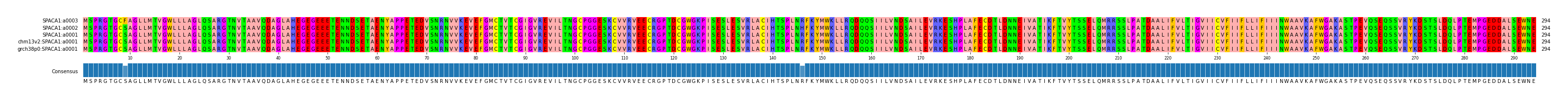 Multiple Alignments (by translate haplotype similarity)