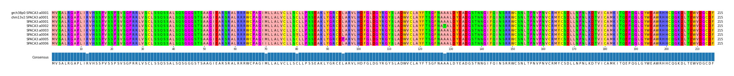 Multiple Alignments (by translate haplotype frequency)