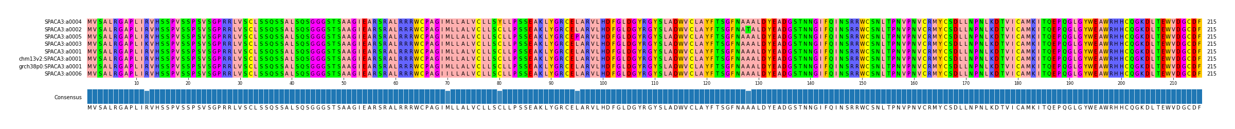 Multiple Alignments (by translate haplotype similarity)