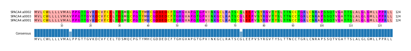 Multiple Alignments (by translate haplotype similarity)