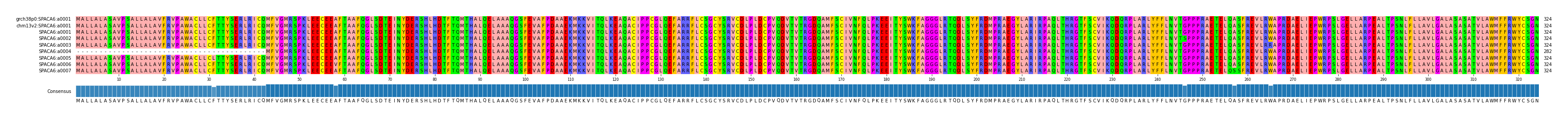 Multiple Alignments (by translate haplotype frequency)