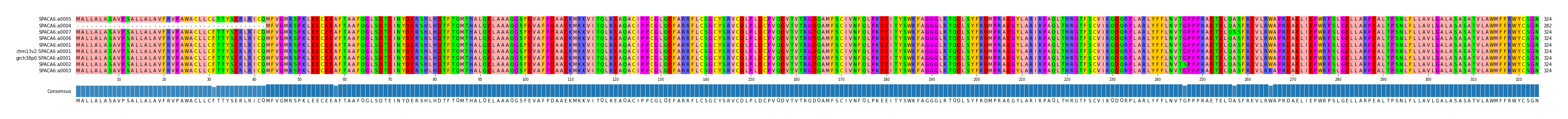 Multiple Alignments (by translate haplotype similarity)