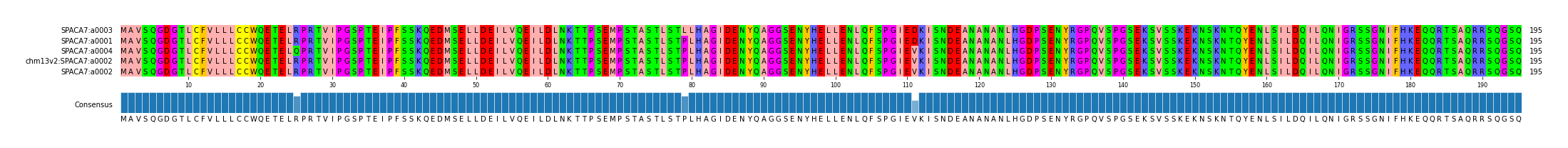 Multiple Alignments (by translate haplotype similarity)
